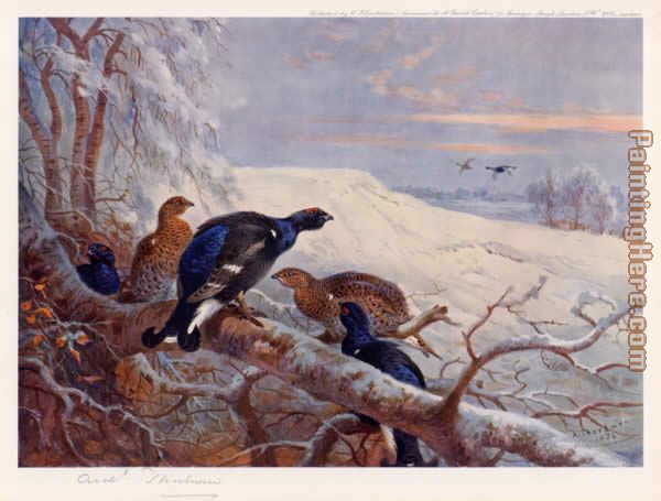 Blackgame in Winter painting - Archibald Thorburn Blackgame in Winter art painting